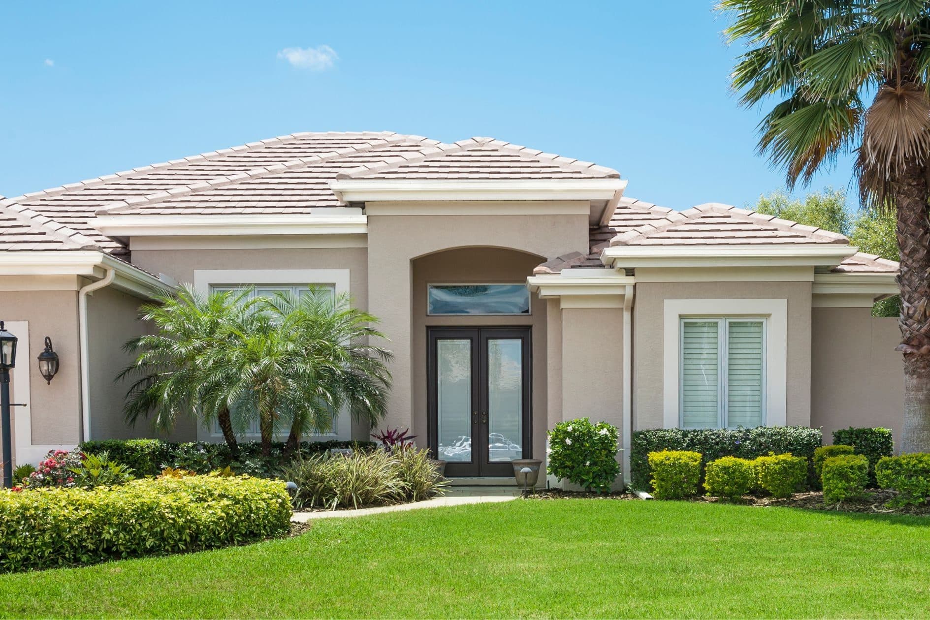 Caring-for-Florida-Palms-PRC-1889×1260 (1)