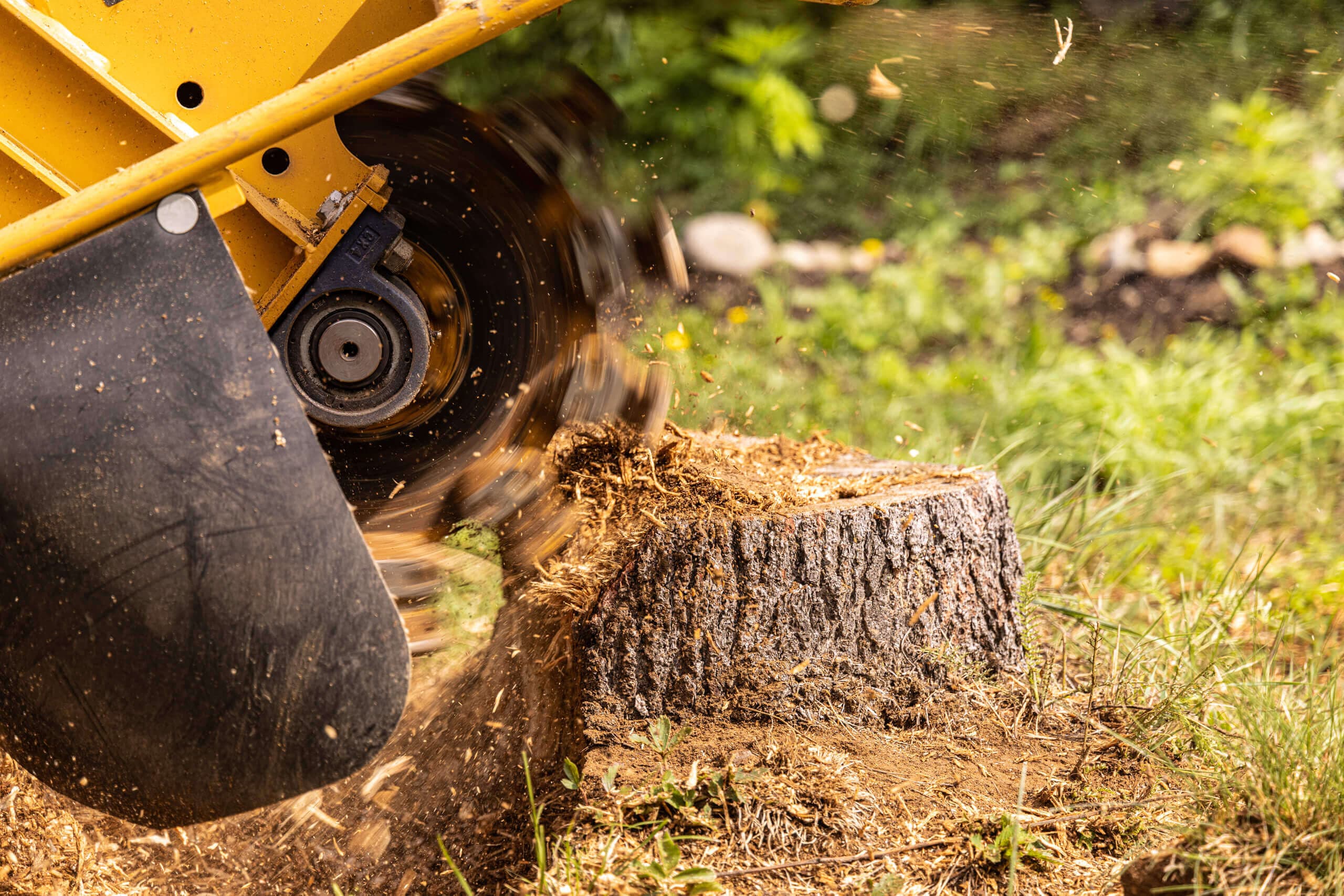 stump-grinding-service (1)